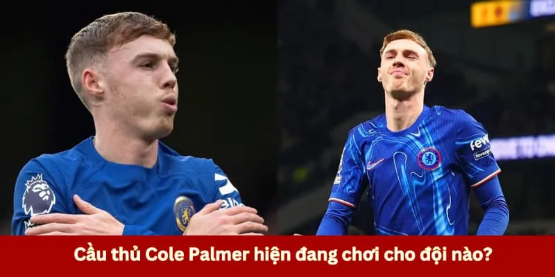 Cole Palmer đang chơi cho CLB nào?